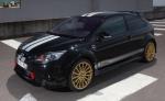 Ford Focus RS Le Mans Editions 2010 года